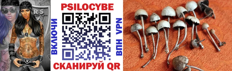 Псилоцибиновые грибы мухоморы  Купить где  Выкса 